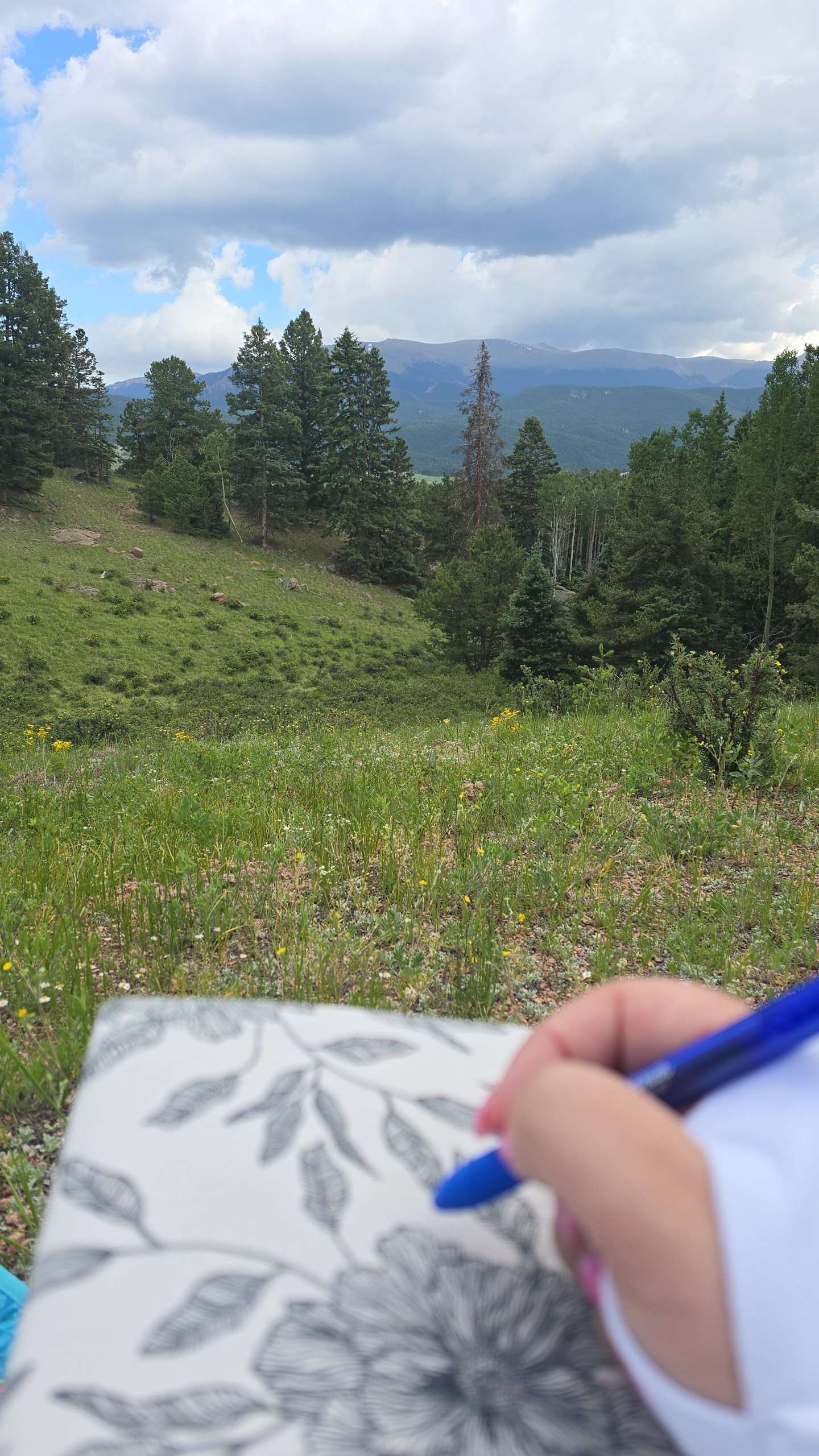 5 Steps to Prioritizing the Purposeful Practice of Writing